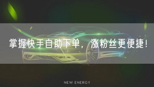 掌握快手自助下单,涨粉丝更便捷!