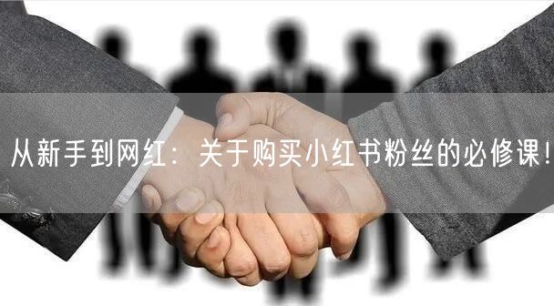 从新手到网红：关于购买小红书粉丝的必修课！