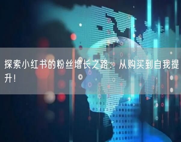 探索小红书的粉丝增长之路：从购买到自我提升！
