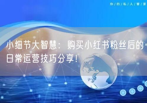 小细节大智慧：购买小红书粉丝后的日常运营技巧分享！