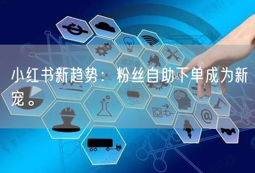 小红书新趋势：粉丝自助下单成为新宠。