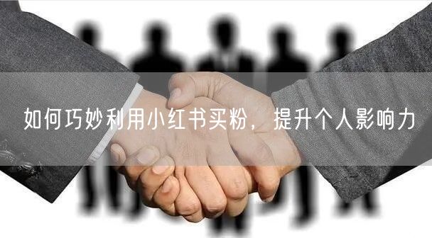 如何巧妙利用小红书买粉，提升个人影响力