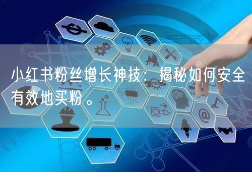 小红书粉丝增长神技：揭秘如何安全有效地买粉。