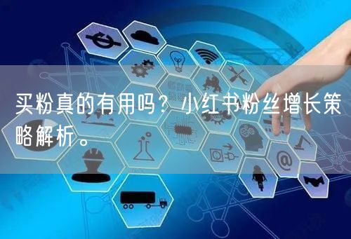 买粉真的有用吗？小红书粉丝增长策略解析。