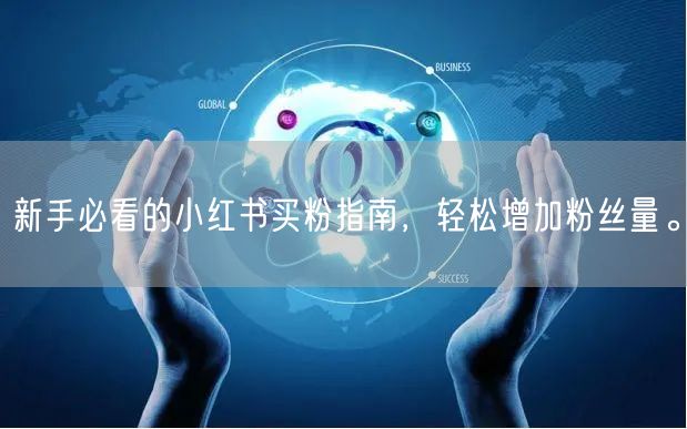 新手必看的小红书买粉指南，轻松增加粉丝量。