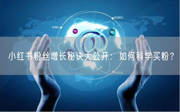 小红书粉丝增长秘诀大公开：如何科学买粉？