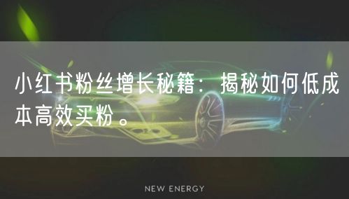 小红书粉丝增长秘籍：揭秘如何低成本高效买粉。