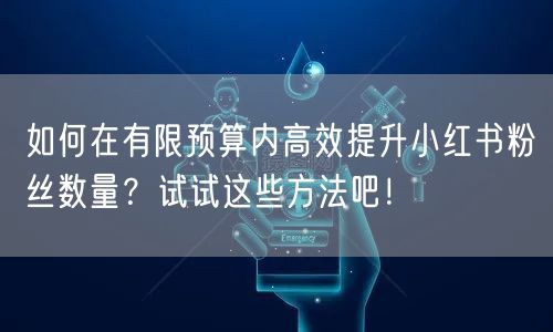 如何在有限预算内高效提升小红书粉丝数量？试试这些方法吧！