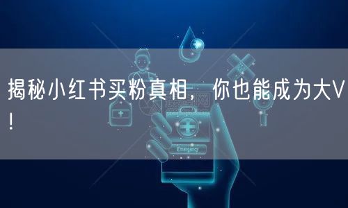 揭秘小红书买粉真相，你也能成为大V！