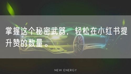 掌握这个秘密武器，轻松在小红书提升赞的数量。