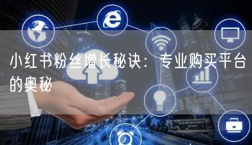 小红书粉丝增长秘诀：专业购买平台的奥秘