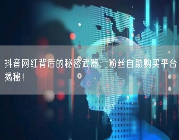抖音网红背后的秘密武器：粉丝自助购买平台揭秘！