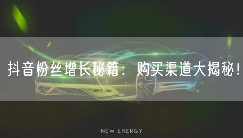 抖音粉丝增长秘籍：购买渠道大揭秘！