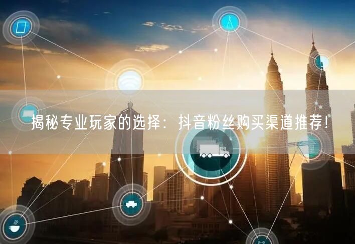 揭秘专业玩家的选择：抖音粉丝购买渠道推荐！