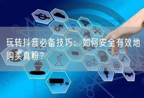 玩转抖音必备技巧：如何安全有效地购买真粉？
