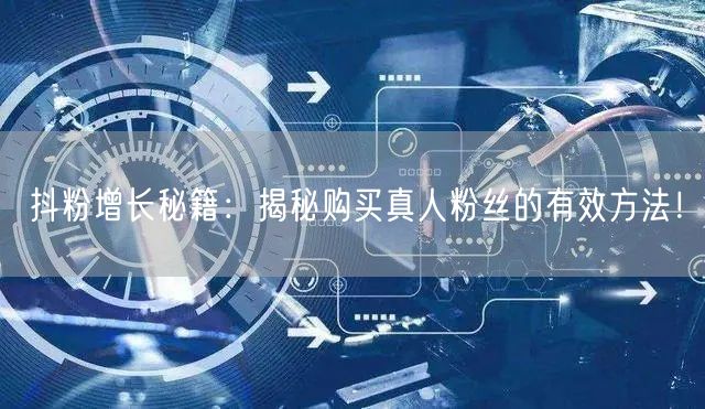抖粉增长秘籍：揭秘购买真人粉丝的有效方法！