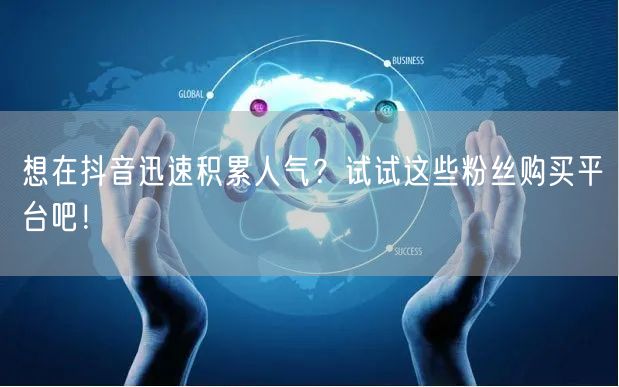 想在抖音迅速积累人气？试试这些粉丝购买平台吧！