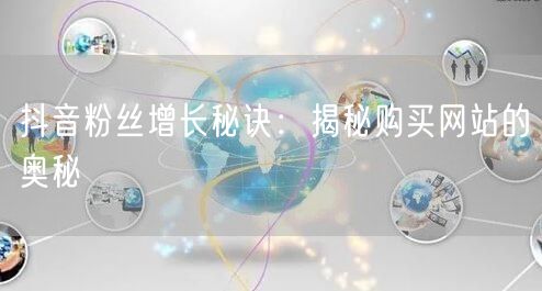 抖音粉丝增长秘诀：揭秘购买网站的奥秘