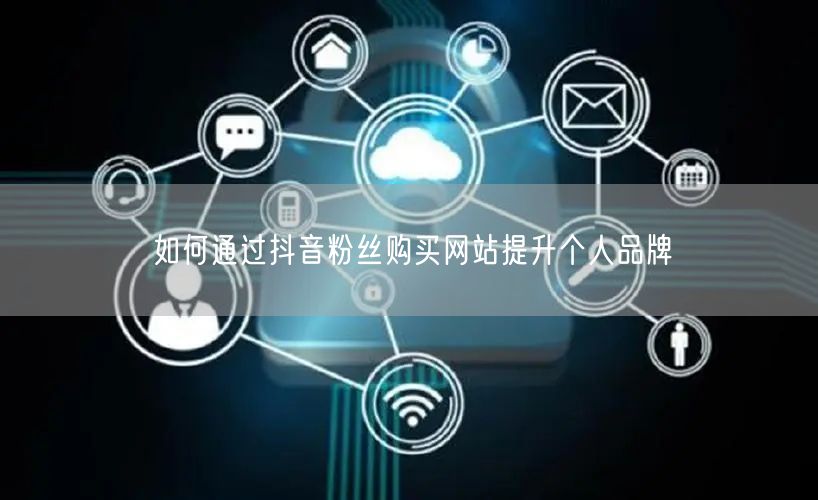 如何通过抖音粉丝购买网站提升个人品牌