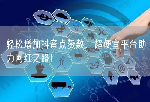 轻松增加抖音点赞数，超便宜平台助力网红之路！