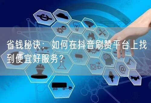 省钱秘诀：如何在抖音刷赞平台上找到便宜好服务？