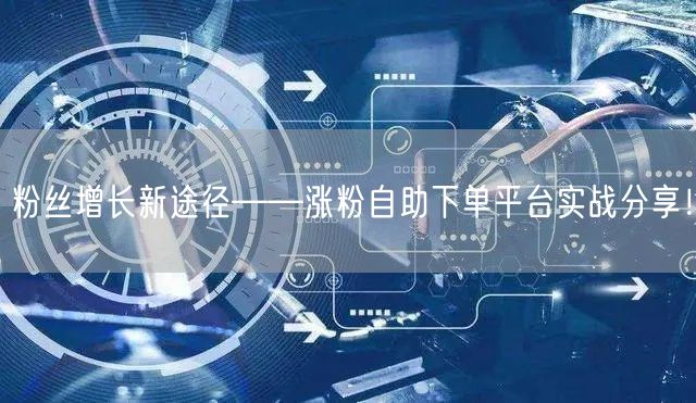粉丝增长新途径——涨粉自助下单平台实战分享！