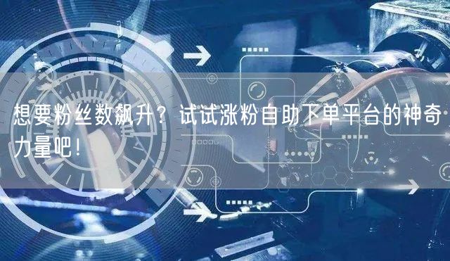 想要粉丝数飙升？试试涨粉自助下单平台的神奇力量吧！