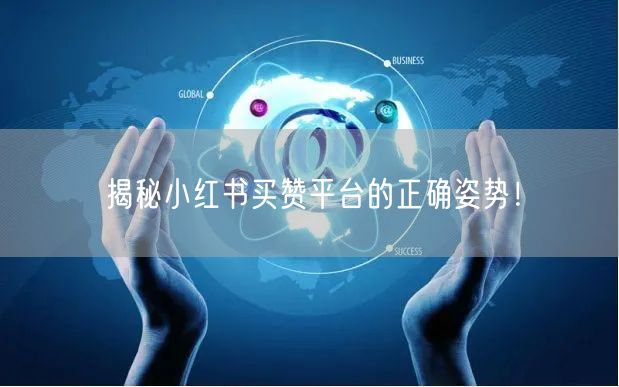 揭秘小红书买赞平台的正确姿势！