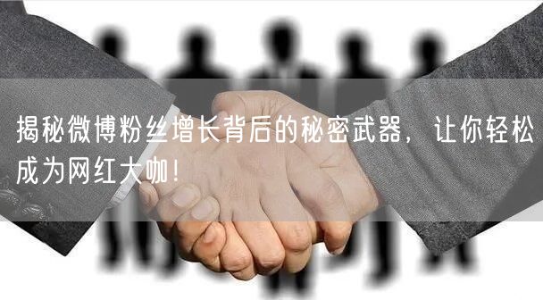 揭秘微博粉丝增长背后的秘密武器，让你轻松成为网红大咖！