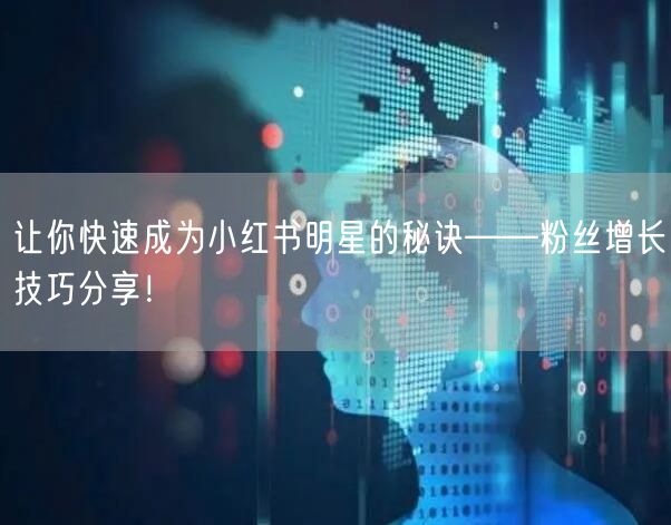 让你快速成为小红书明星的秘诀——粉丝增长技巧分享！
