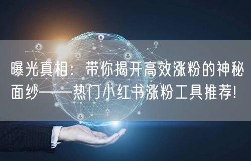 曝光真相：带你揭开高效涨粉的神秘面纱——热门小红书涨粉工具推荐!