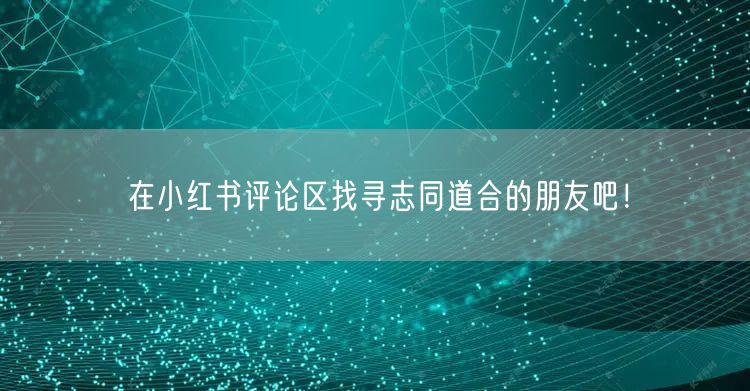在小红书评论区找寻志同道合的朋友吧！