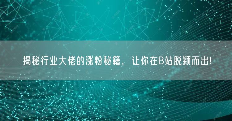 揭秘行业大佬的涨粉秘籍，让你在B站脱颖而出!