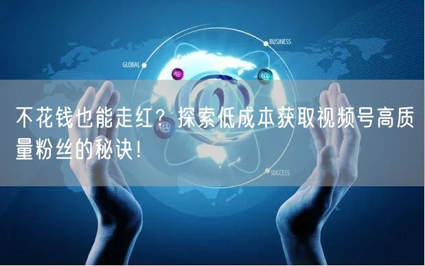 不花钱也能走红？探索低成本获取视频号高质量粉丝的秘诀！