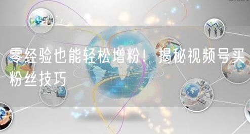 零经验也能轻松增粉！揭秘视频号买粉丝技巧
