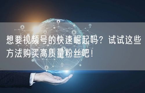 想要视频号的快速崛起吗？试试这些方法购买高质量粉丝吧！