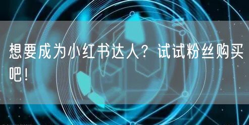 想要成为小红书达人？试试粉丝购买吧！