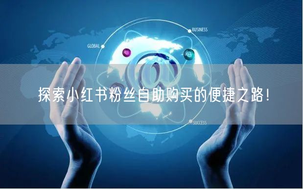 探索小红书粉丝自助购买的便捷之路！