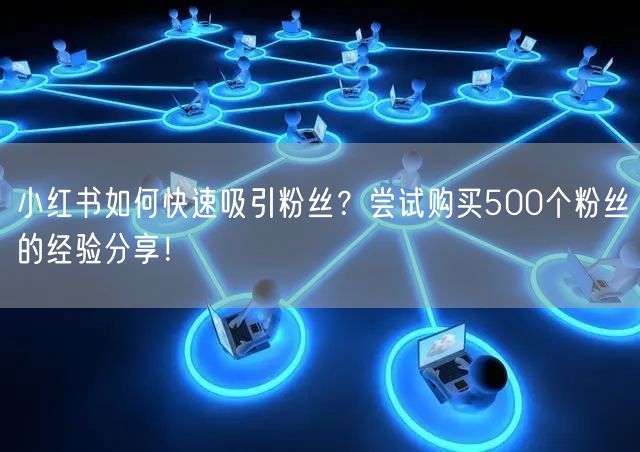 小红书如何快速吸引粉丝？尝试购买500个粉丝的经验分享！