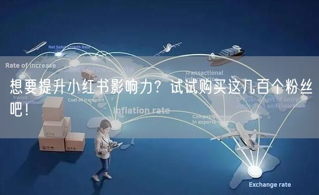 想要提升小红书影响力？试试购买这几百个粉丝吧！