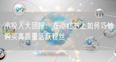 小投入大回报：在小红书上如何巧妙购买高质量活跃粉丝。