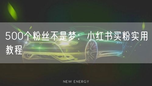 500个粉丝不是梦：小红书买粉实用教程