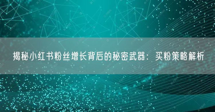 揭秘小红书粉丝增长背后的秘密武器：买粉策略解析