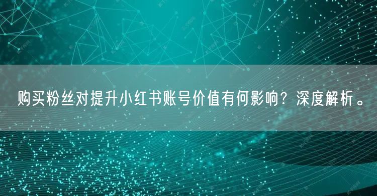 购买粉丝对提升小红书账号价值有何影响？深度解析。