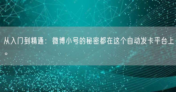 从入门到精通：微博小号的秘密都在这个自动发卡平台上。