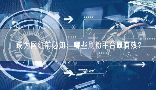 成为网红前必知：哪些刷粉平台最有效？