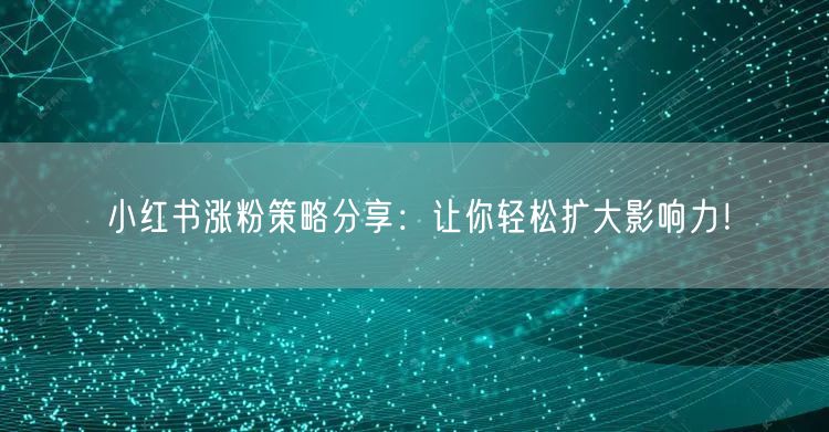 小红书涨粉策略分享：让你轻松扩大影响力！