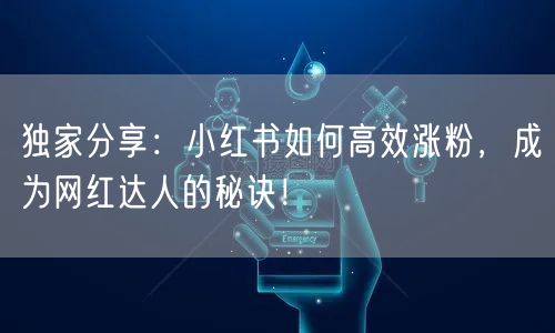 独家分享：小红书如何高效涨粉，成为网红达人的秘诀！