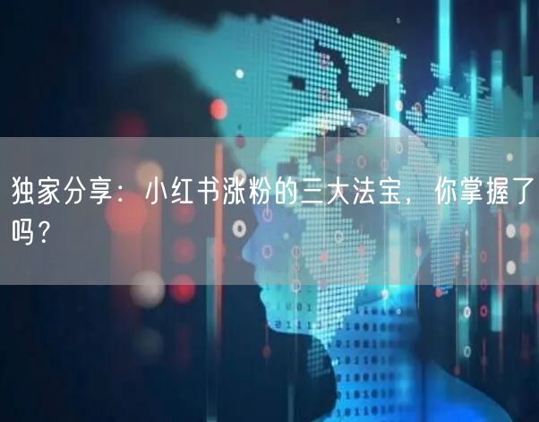 独家分享：小红书涨粉的三大法宝，你掌握了吗？