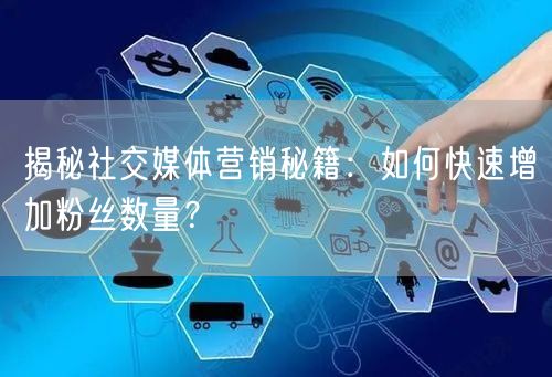 揭秘社交媒体营销秘籍：如何快速增加粉丝数量？